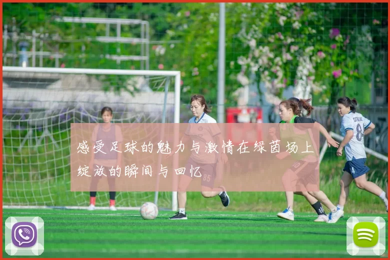 感受足球的魅力与激情在绿茵场上绽放的瞬间与回忆