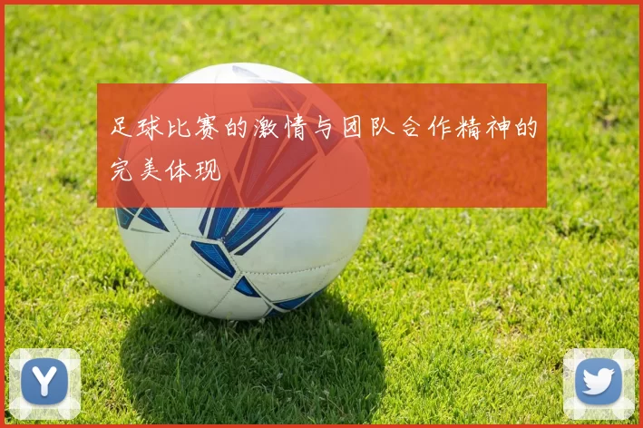 足球比赛的激情与团队合作精神的完美体现
