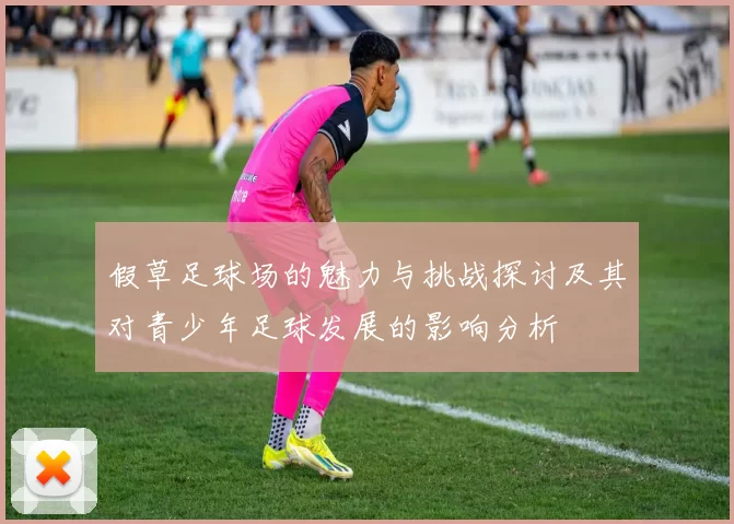 假草足球场的魅力与挑战探讨及其对青少年足球发展的影响分析